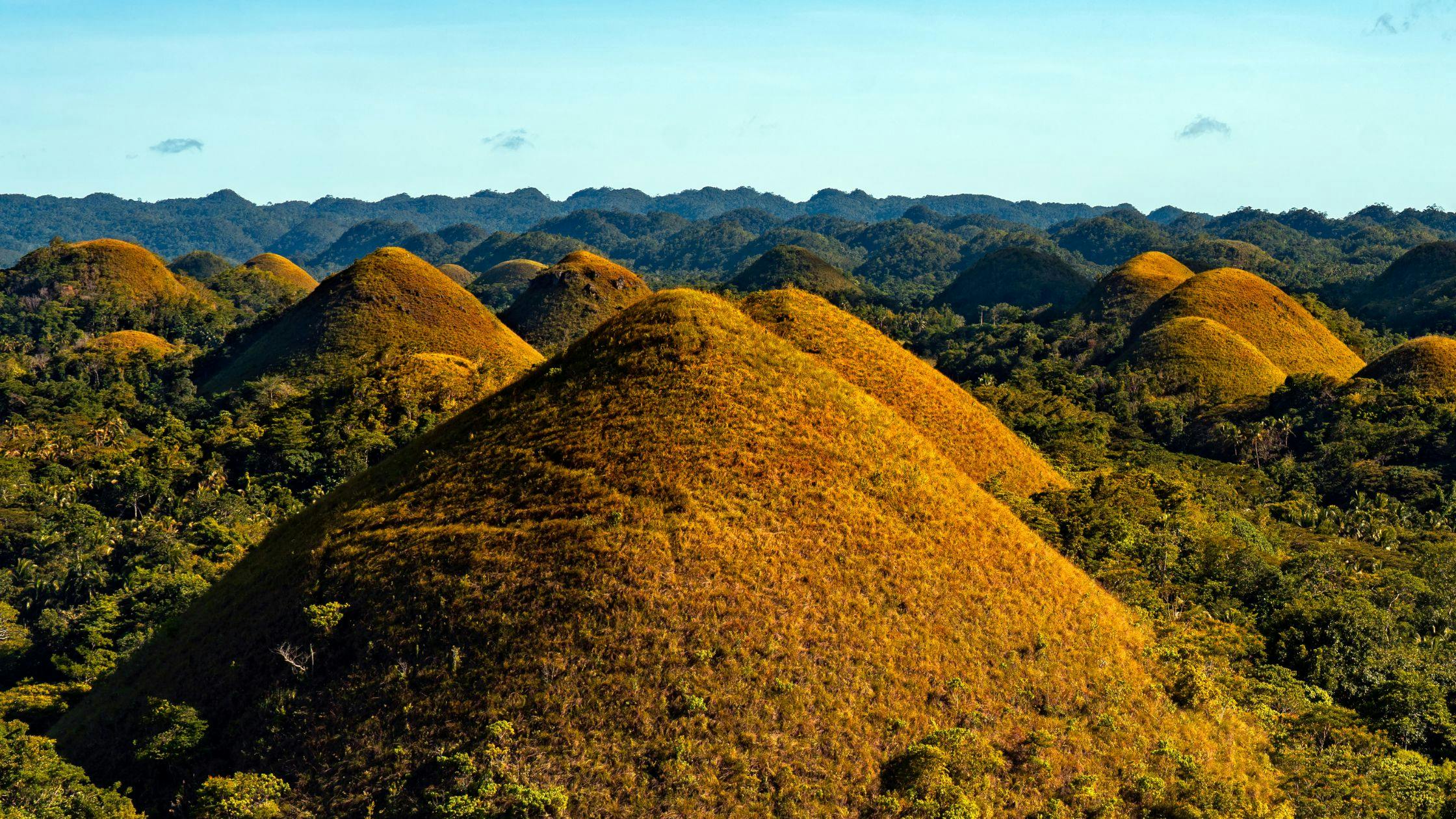 Marvel at Chocolate Hills in Bohol